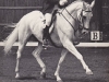 Gimlet