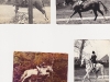 scats_gimlet1