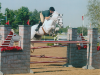 Ballaré at Kentucky Horse Park